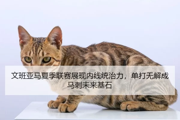 文班亚马夏季联赛展现内线统治力，单打无解成马刺未来基石