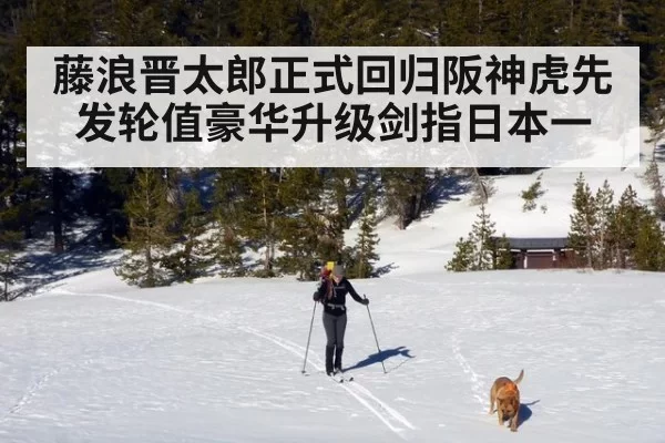 藤浪晋太郎正式回归阪神虎先发轮值豪华升级剑指日本一